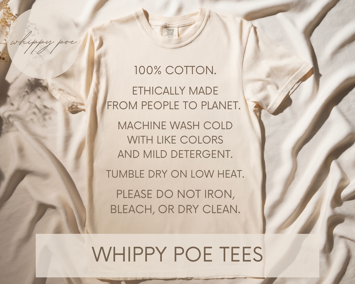 Retro Leo | Whippy Poe